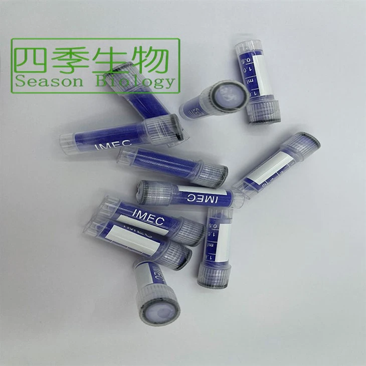 Copper Peptide GHK Powder